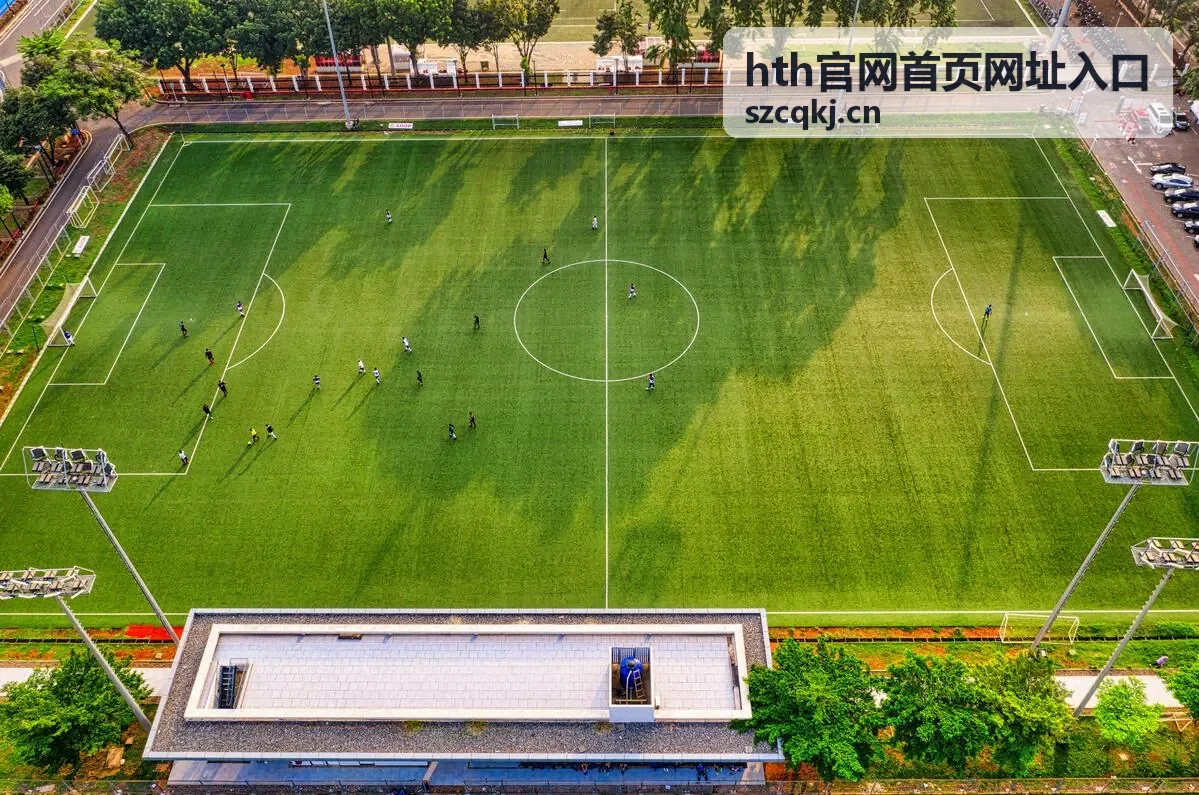 hth官网首页网址入口 访问路径说明配图