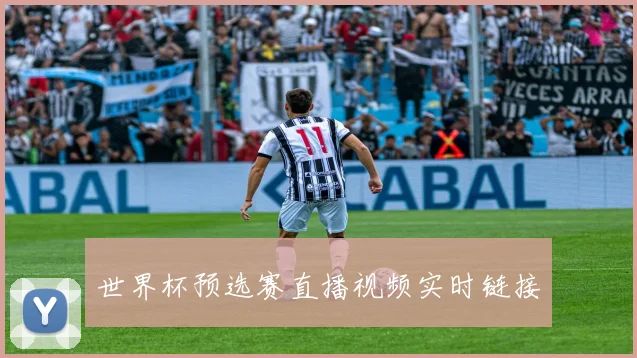 世界杯预选赛直播视频实时链接